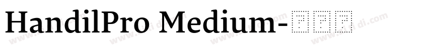 HandilPro Medium字体转换